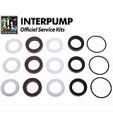 Ремкомплект Interpump Kit 314
